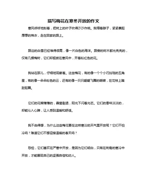 描写梅花在寒冬开放的作文