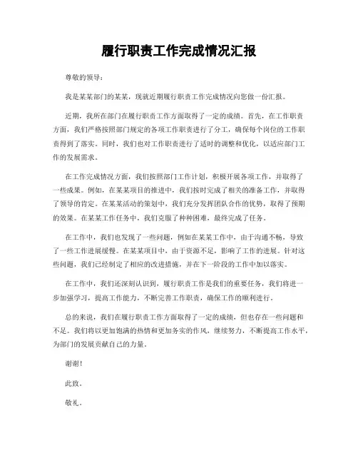 履行职责工作完成情况汇报