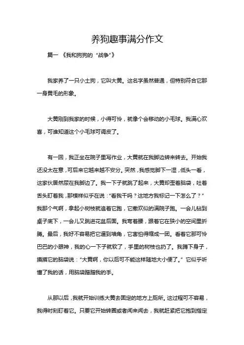 养狗趣事满分作文