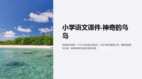 小学语文课件-神奇的鸟岛