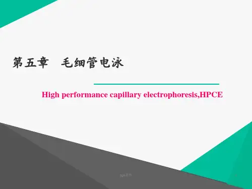 毛细管电泳  ppt课件