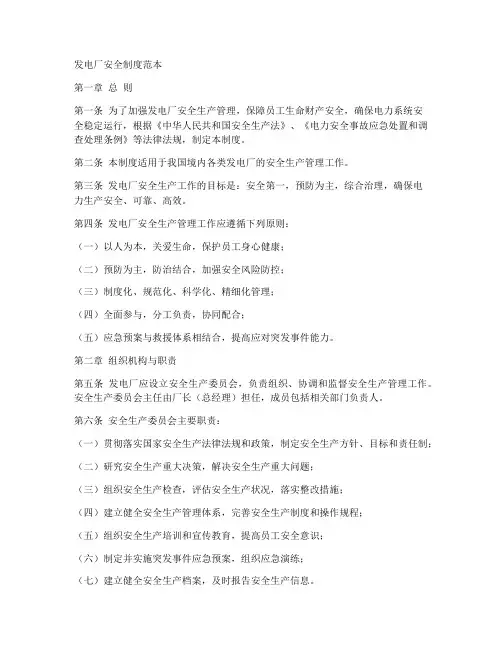 发电厂安全制度范本