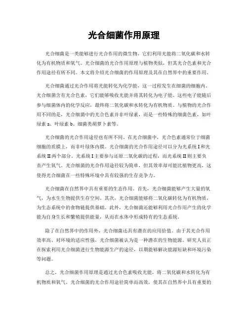 光合细菌作用原理