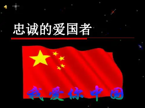 忠诚的爱国者