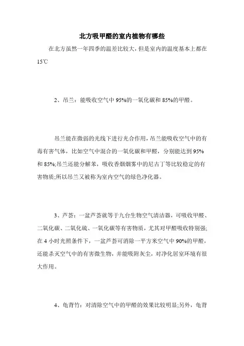 北方吸甲醛的室内植物有哪些