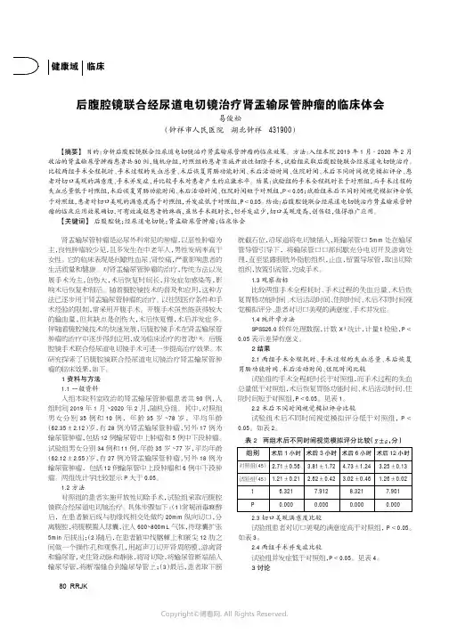 后腹腔镜联合经尿道电切镜治疗肾盂输尿管肿瘤的临床体会