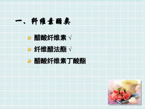 药用纤维素衍生物各论课件
