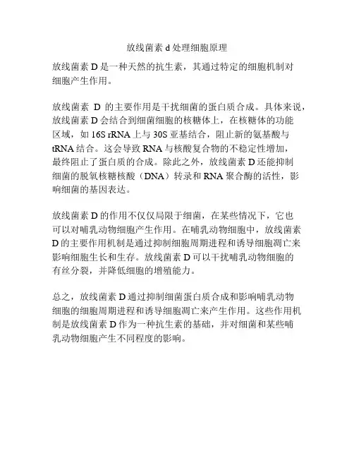 放线菌素d处理细胞原理