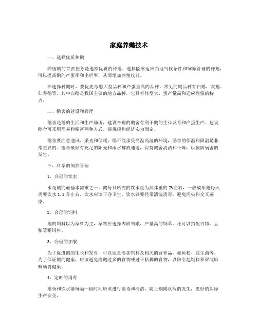 家庭养鹅技术