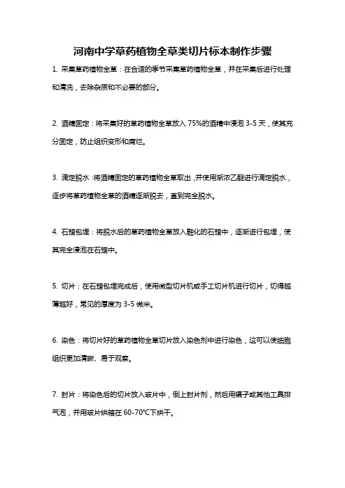 河南中学草药植物全草类切片标本制作步骤