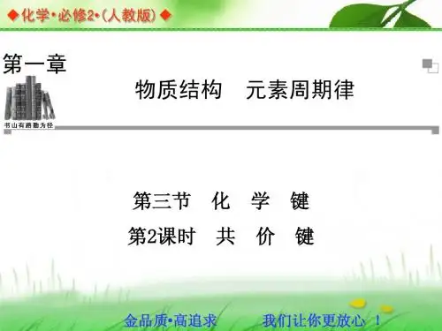 第一章第三节第2课时 共 价 键