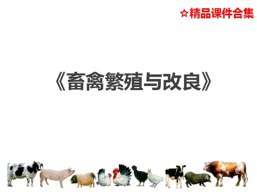 任务3-1 畜禽选配的实施《畜禽繁殖与改良技术》教学课件