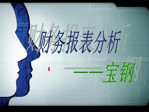 财务报表分析---宝钢