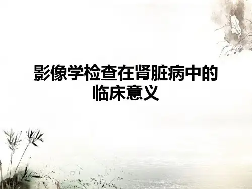 影像学检查在肾脏病中的临床意义-精品医学课件