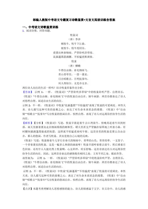 部编人教版中考语文专题复习诗歌鉴赏+文言文阅读训练含答案