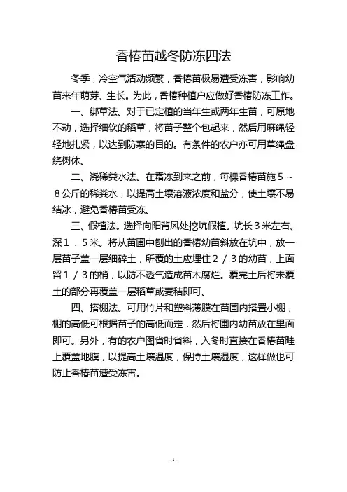 香椿苗越冬防冻四法