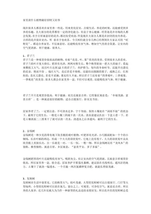 家里放什么植物最好招财又好养