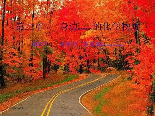 九年级化学全册 第二章 第二节 奇妙的二氧化碳(第一课时)课件 