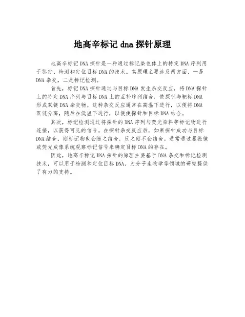 地高辛标记dna探针原理