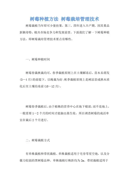 树莓种植方法 树莓栽培管理技术