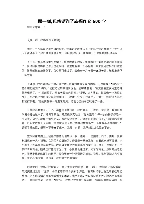 那一刻,我感受到了幸福作文600字