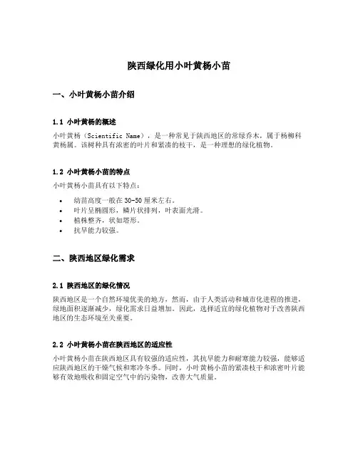 陕西绿化用小叶黄杨小苗