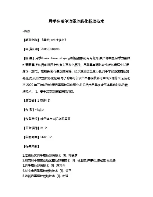月季在哈尔滨露地彩化栽培技术