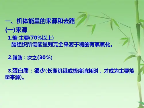 能量代谢和体温调节教学(共55张PPT)