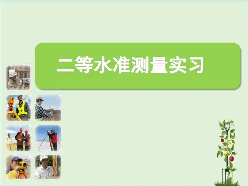二等水准测量