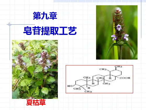 天然药物提取工艺课件---皂苷提取工艺