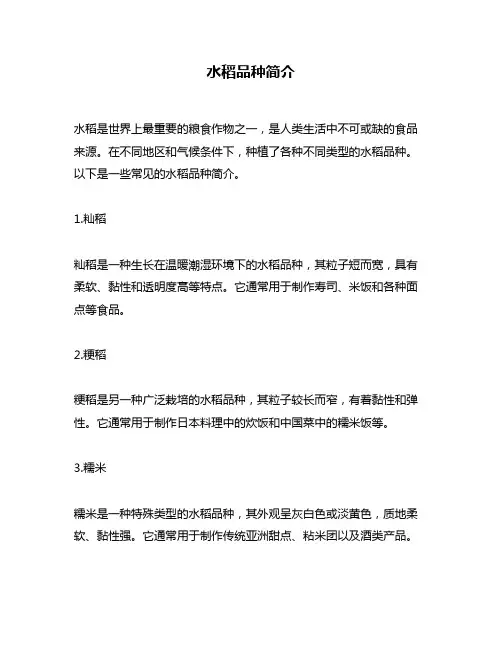 水稻品种简介