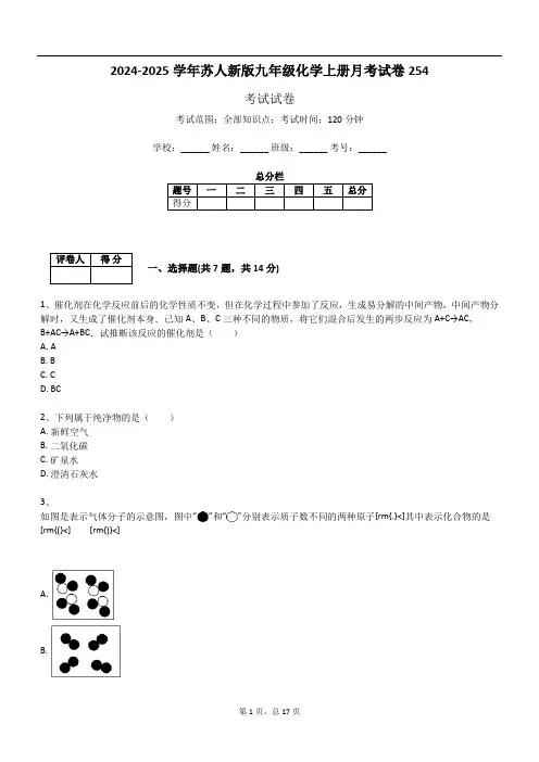 2024-2025学年苏人新版九年级化学上册月考试卷254