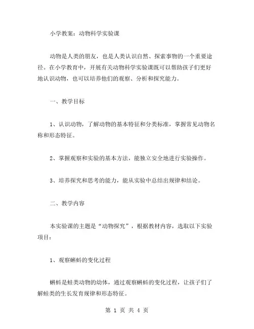 小学教案：动物科学实验课
