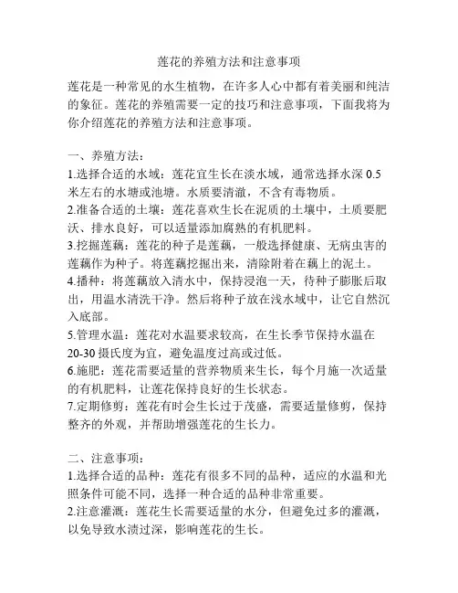 莲花的养殖方法和注意事项