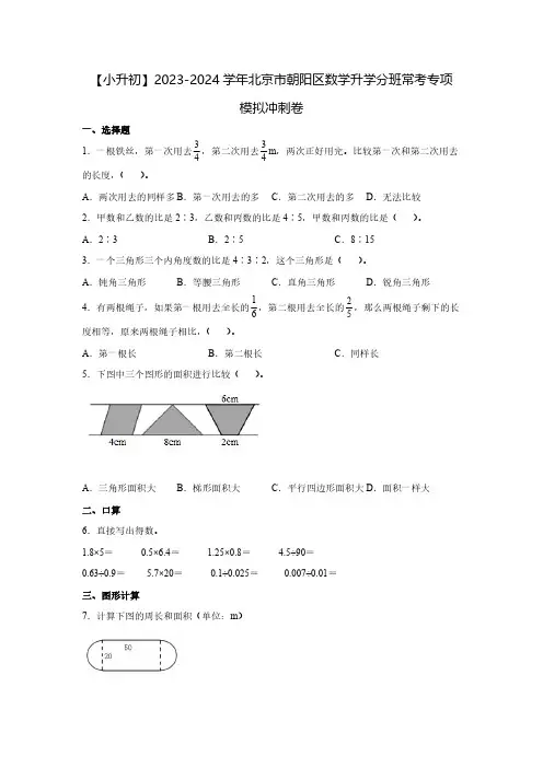 【小升初】2023-2024学年北京市朝阳区数学升学分班常考专项模拟冲刺卷2套(含解析)