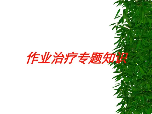 作业治疗专题知识培训课件
