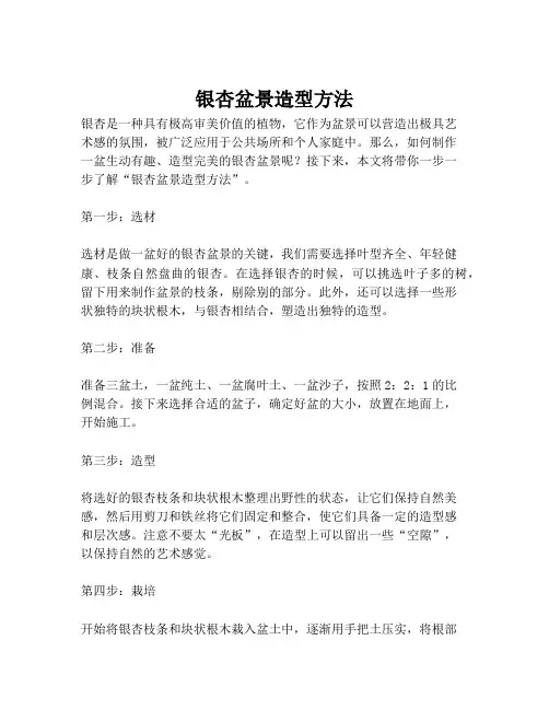 银杏盆景造型方法