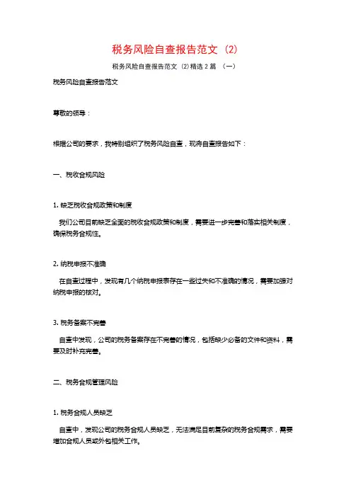 税务风险自查报告范文2篇