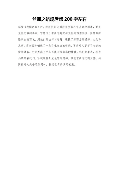 丝绸之路观后感200字左右