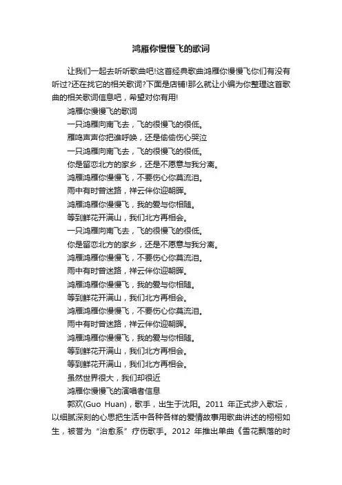 鸿雁你慢慢飞的歌词
