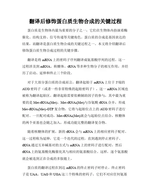 翻译后修饰蛋白质生物合成的关键过程