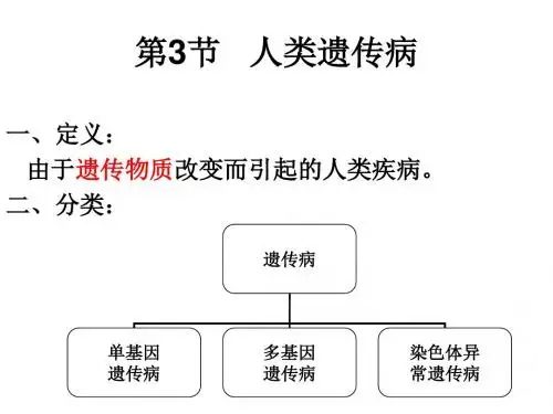 高一生物人类遗传病1