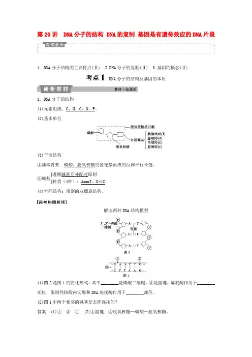高考生物一轮复习 第六单元 遗传的物质基础 第20讲 DNA分子的结构 DNA的复制 基因是有遗传效