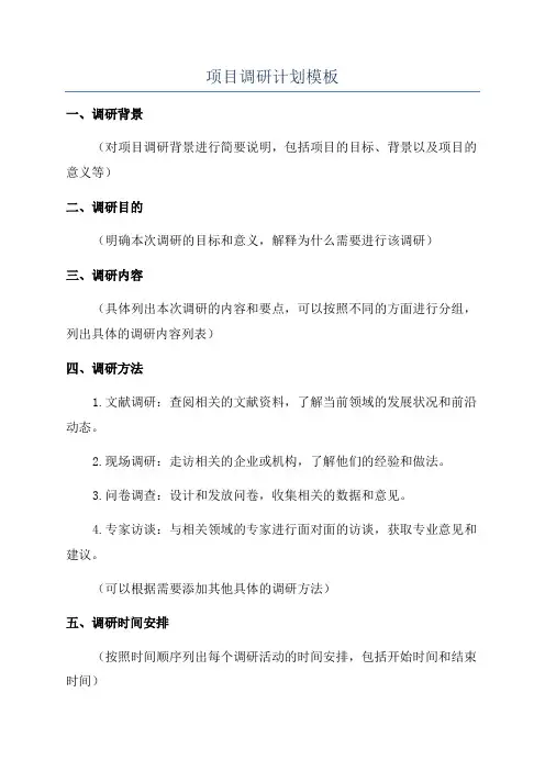 项目调研计划模板