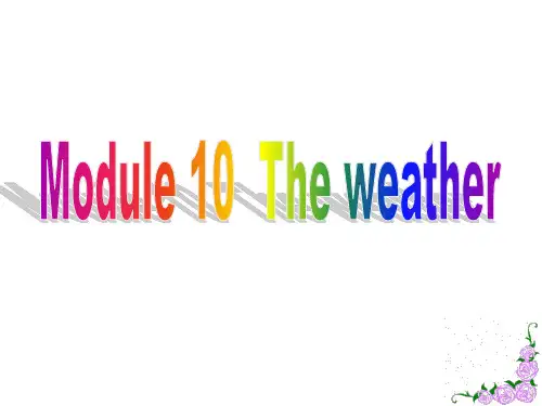 外研版八年级英语上册Module 10  The weather课件