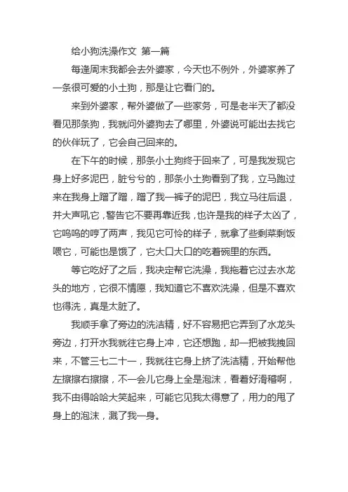 给小狗洗澡五年级作文
