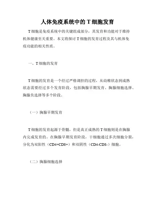 人体免疫系统中的T细胞发育