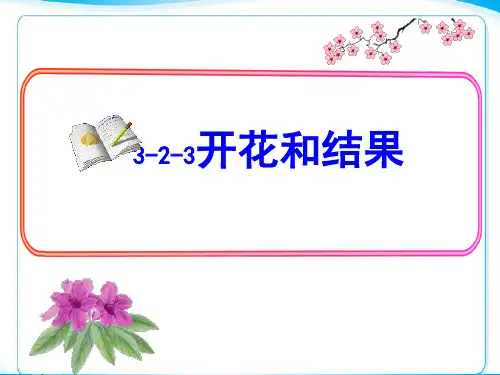 3.《开花和结果》课件(1)(人教版生物)