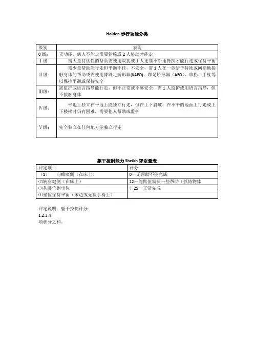 Holden步行功能分类