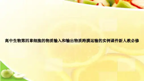 高中生物第四章细胞的物质输入和输出物质跨膜运输的实例课件新人教必修ppt文档